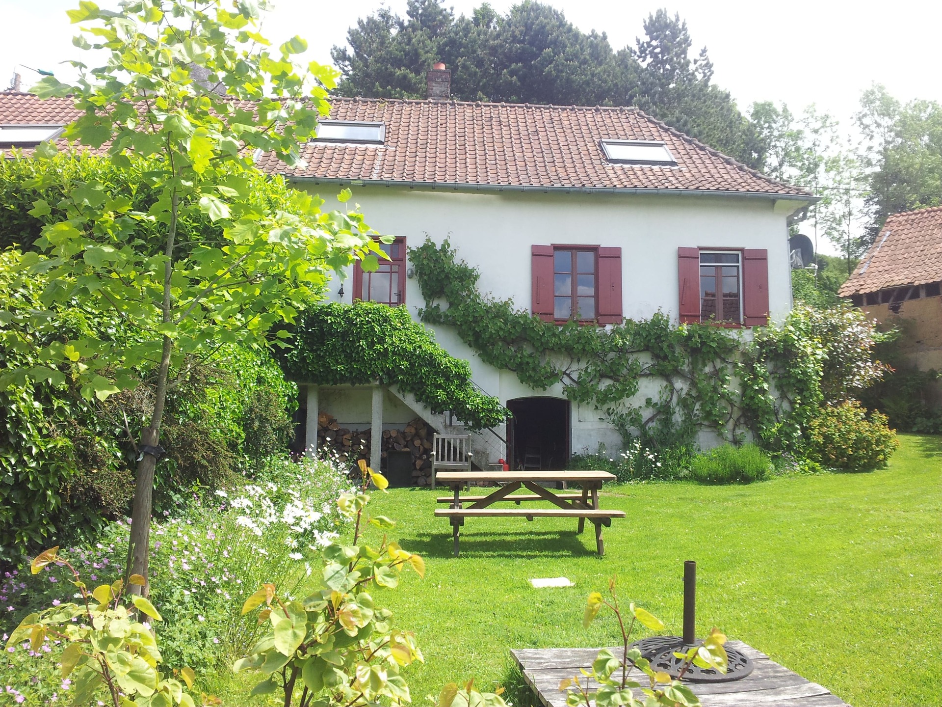 Garden - Tuin