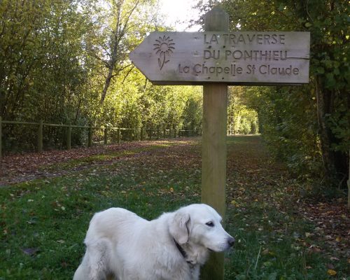 La traverse de Ponthieu
