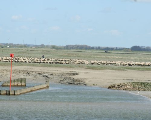 Somme Saint Valery